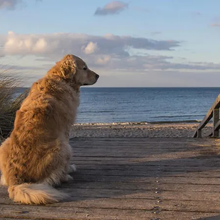 מלון דירות Carat